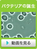 oNeA̒a