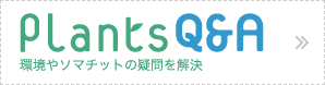 Plants Q&A